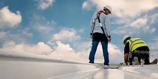 Best Roof Maintenance and Cleaning  in Cricket, NC